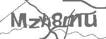 CAPTCHA Image