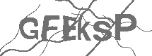 CAPTCHA Image