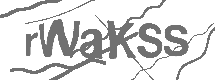 CAPTCHA Image