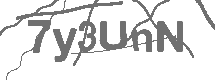 CAPTCHA Image