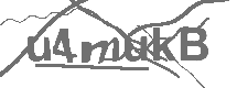 CAPTCHA Image