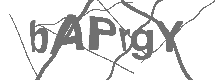 CAPTCHA Image