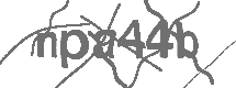 CAPTCHA Image