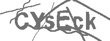 CAPTCHA Image