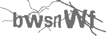 CAPTCHA Image