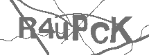CAPTCHA Image