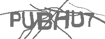 CAPTCHA Image