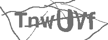 CAPTCHA Image