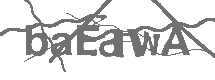 CAPTCHA Image