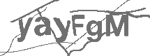 CAPTCHA Image