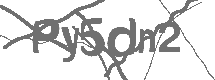 CAPTCHA Image