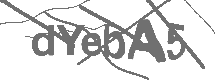 CAPTCHA Image