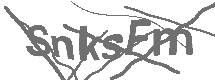 CAPTCHA Image