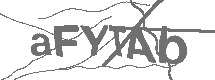 CAPTCHA Image