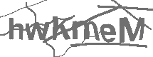 CAPTCHA Image