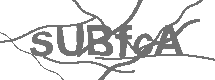 CAPTCHA Image
