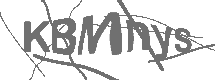 CAPTCHA Image
