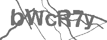 CAPTCHA Image