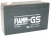 FG11201 Accumulatore al piombo 6V 12000mAh FIAMM VDS