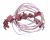Interruttore   Pulsante    ,idoneo per unEKK54553OX 4300100000