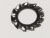 Specchio Vetro Kunststoff    ,idoneo per un2010EB 5208500000