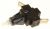 Interruttore   Pulsante    ,idoneo per unW85FR 4300100000