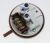 Interruttore   Pulsante    ,idoneo per unWIXL85PL 4300100000