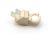 Coperchio Contenitore    ,idoneo per unRGE2000 5202700000