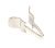 Graffe    ,idoneo per unXO5200 5408000000