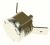 Termostato ,idoneo per unTRN0808M 4820000000