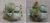 Valvole    ,idoneo per unAD50UWSDPBTTWIN 4650000000