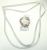Guarnizione Porta Magnetica    ,idoneo per unKS314026C 5503400000