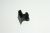 Flap Coperchio    ,idoneo per unZOCNX3WL 5202000000