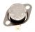 Limitatore Di Temperatura    ,idoneo per unMO325GXE 4826000000