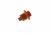 423901554416 ANELLO GOMMA