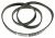 2466300202 C00869879 CINGHIA ELASTICA POLY-V