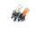 943646100840S Morsetto speaker 2 poli a pressione rosso/nero RCDN10