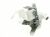 Pompa Scarico    ,idoneo per unL7TEP734E 4131000000