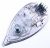 Piastra Ferro Da Stiro    ,idoneo per unDG9248F023A 5581000000